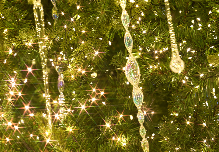 2025 크리스마스 이벤트